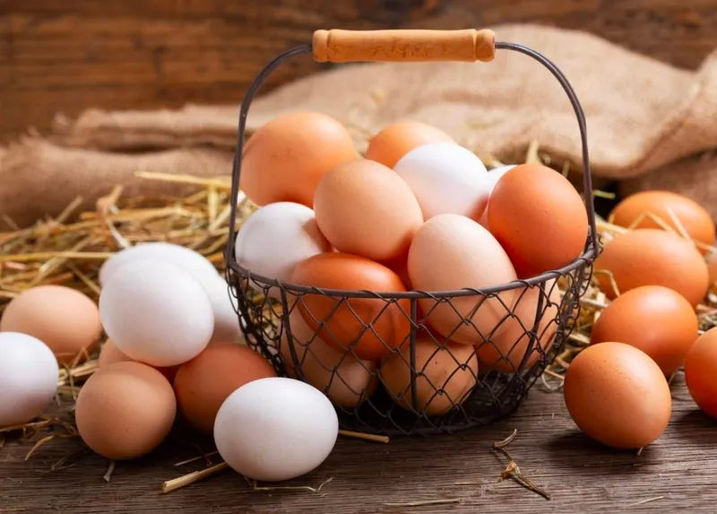 Trứng là nguồn dinh dưỡng giàu canxi, protein giúp trẻ phát triển tốt