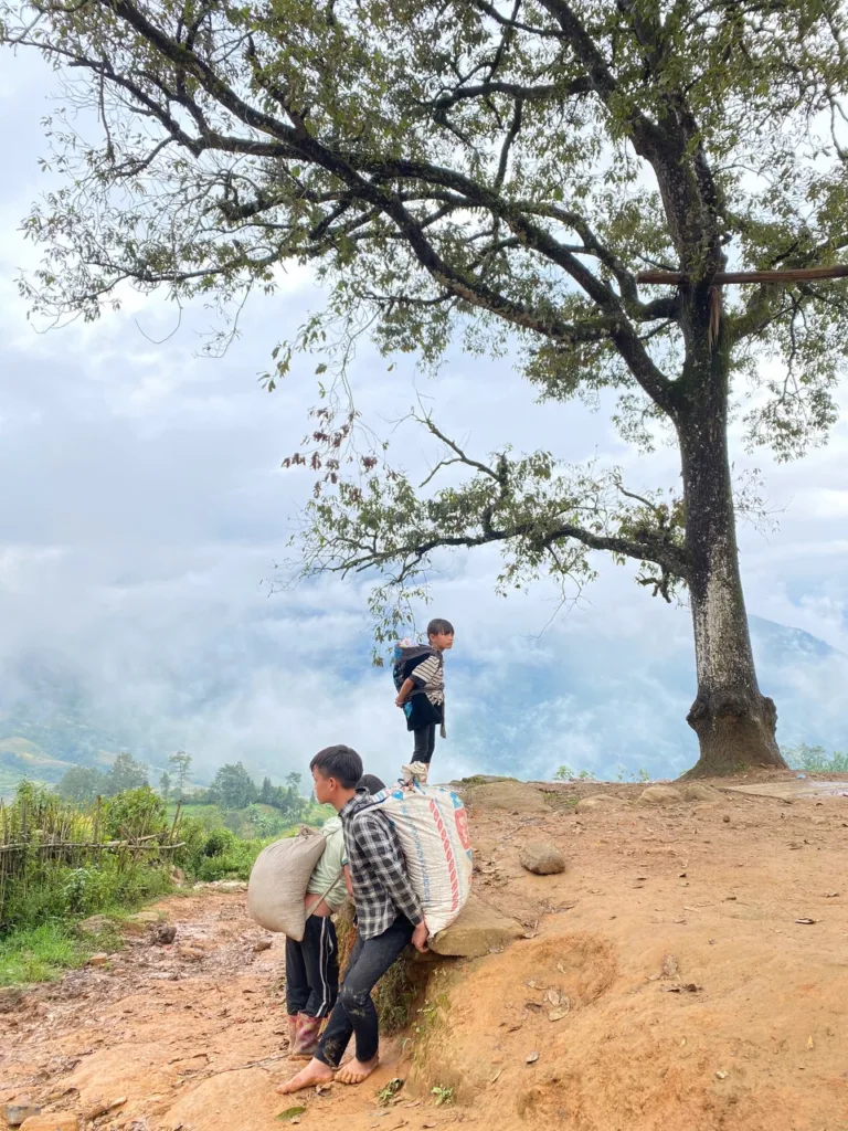 Những đứa trẻ nơi đây, cứ thế lớn lên