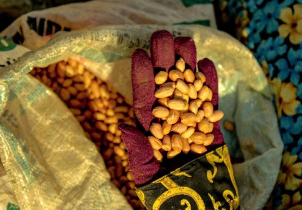 Những hạt lạc được tuyển chọn kỹ càng