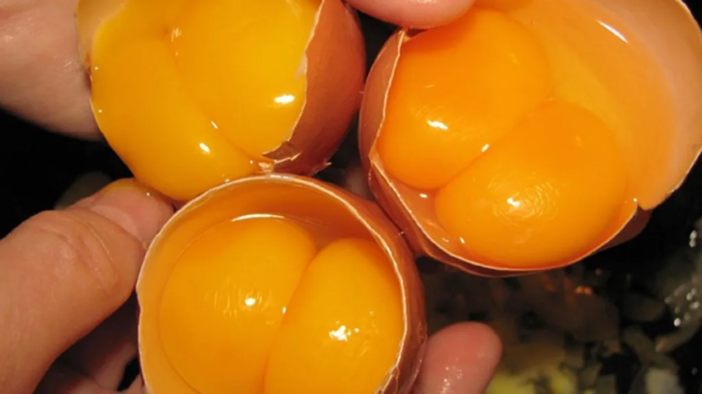 Hàm lượng Folate được tìm thấy trong lòng đỏ trứng gà